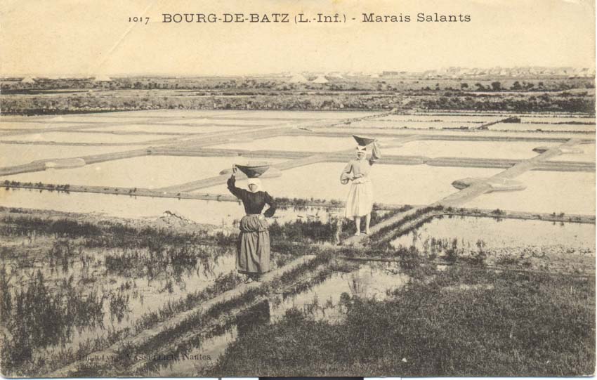 (44 - Loire Atlantique) Batz sur Mer - Marais salants