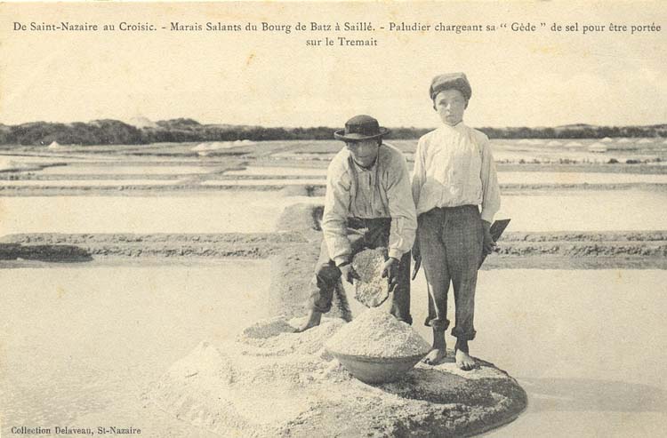 (44 - Loire Atlantique) Batz sur Mer - De Saint-Nazaire au Croisic - Marais Salants du Bourg de Batz à Saillé - Paludiers chargeant sa 'Gède' de sel pour être portée sur le Tremait.