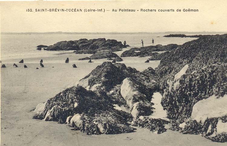 (44 - Loire Atlantique) Le Pouliguen - Le quai et le port, marée haute